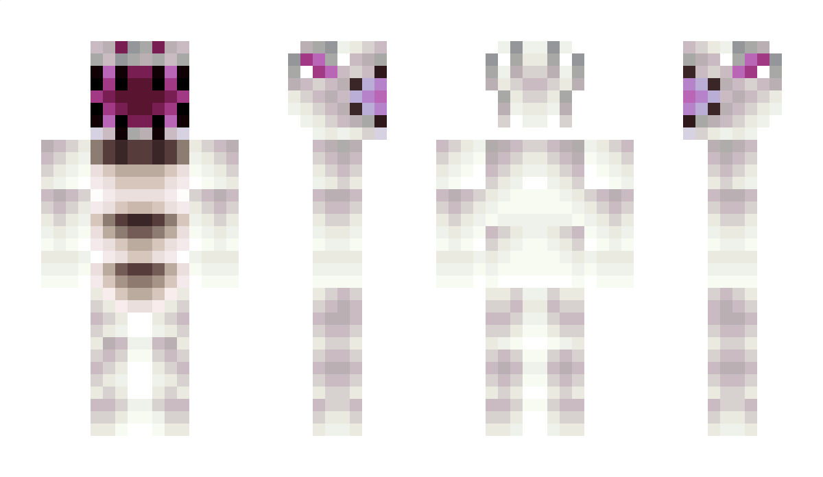 Dragons Minecraft Skin