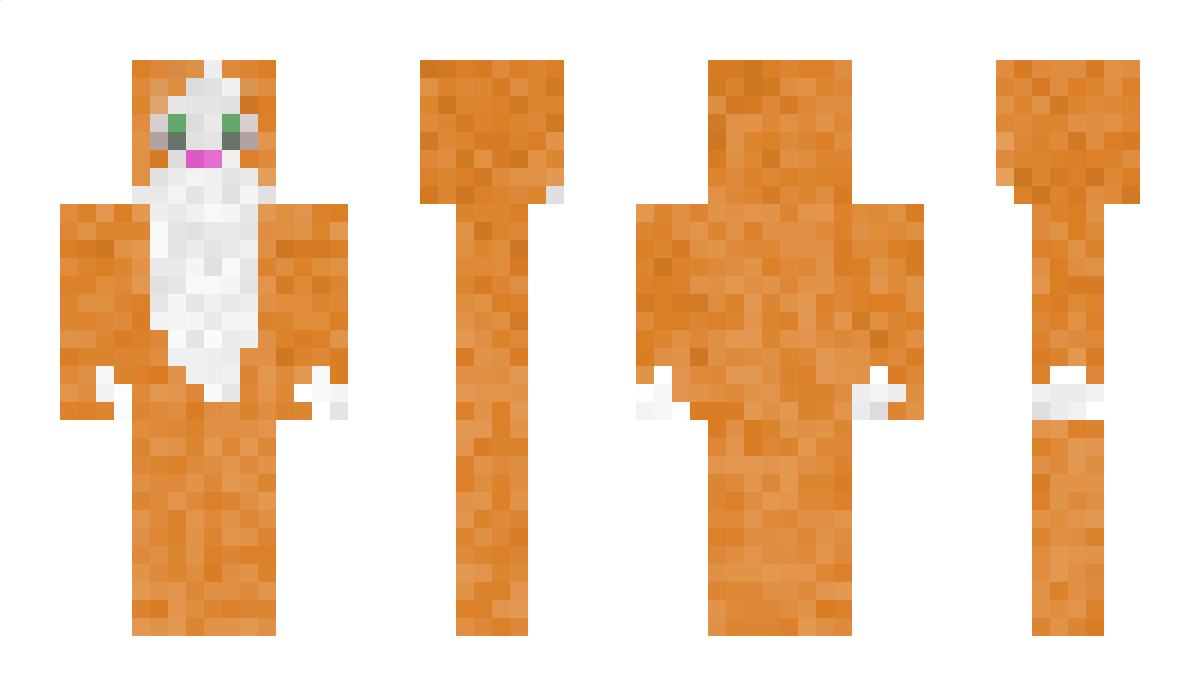 Koti__ Minecraft Skin