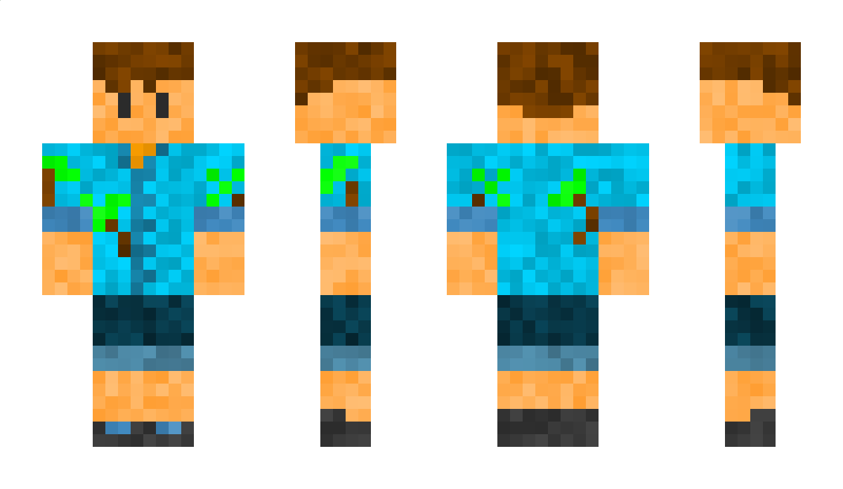 ant71830 Minecraft Skin