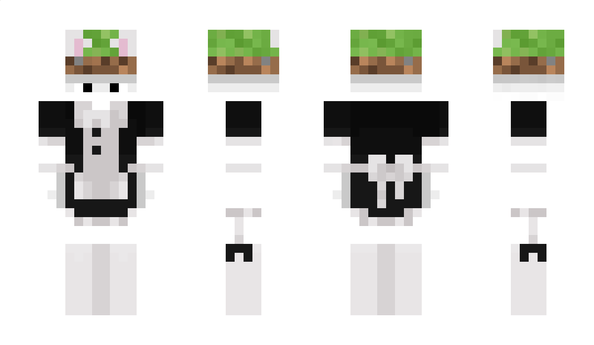 RealSuperFan Minecraft Skin