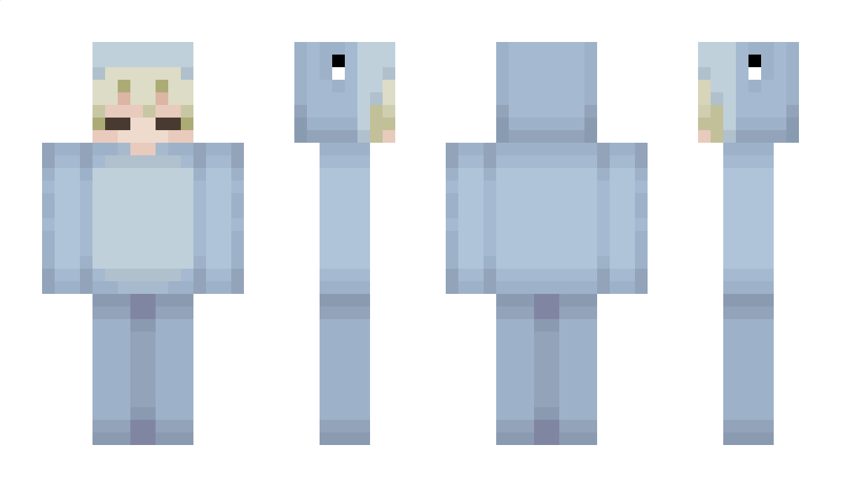 adhddolphin Minecraft Skin