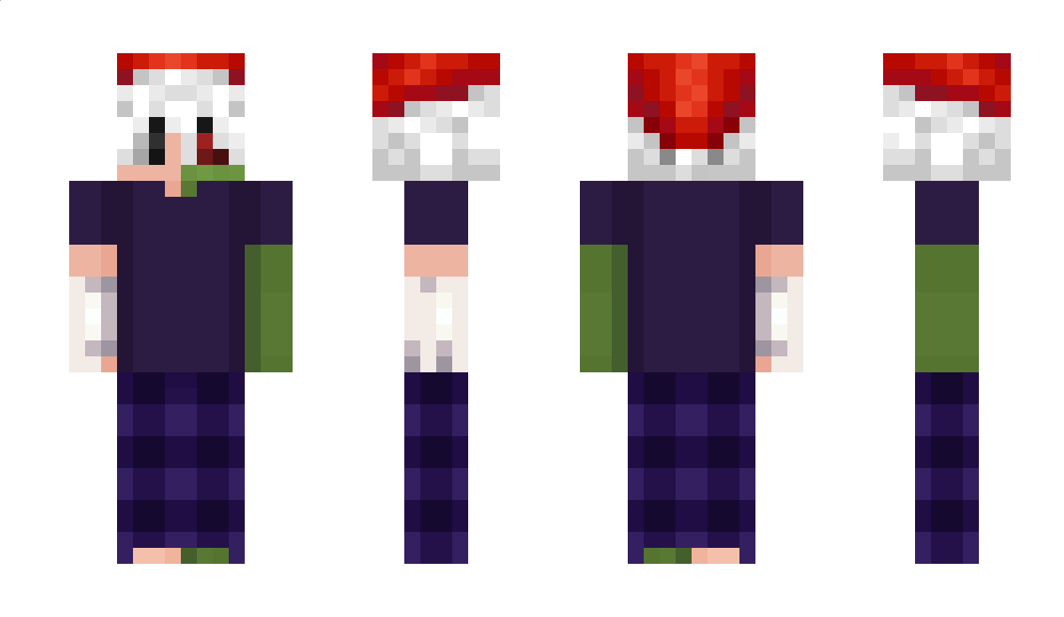 justahampster Minecraft Skin