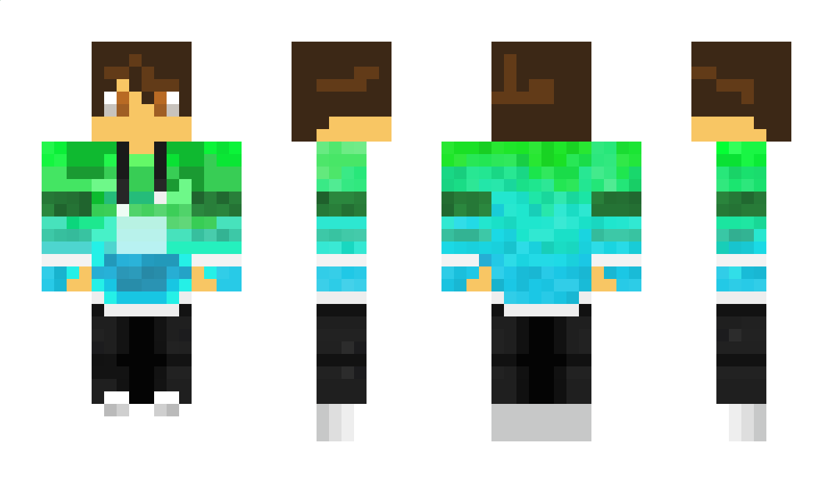 blcok Minecraft Skin