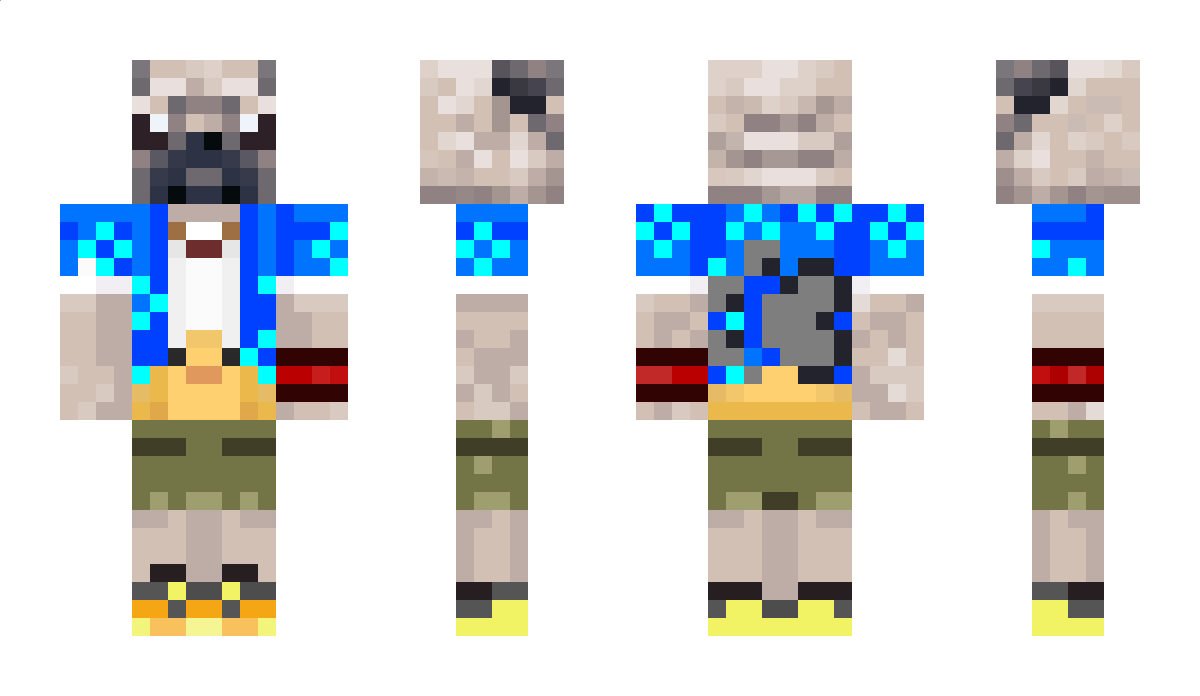 Doge_GM Minecraft Skin