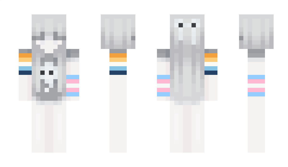 Qv19v Minecraft Skin