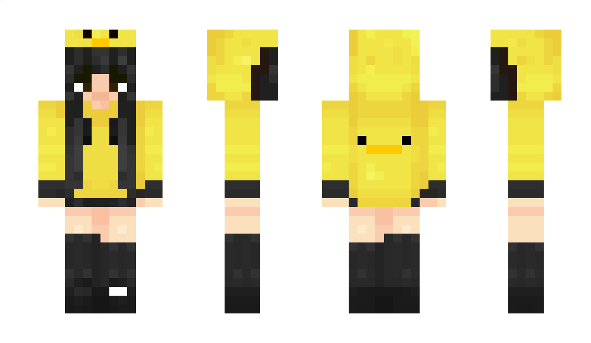 aPerson0110 Minecraft Skin