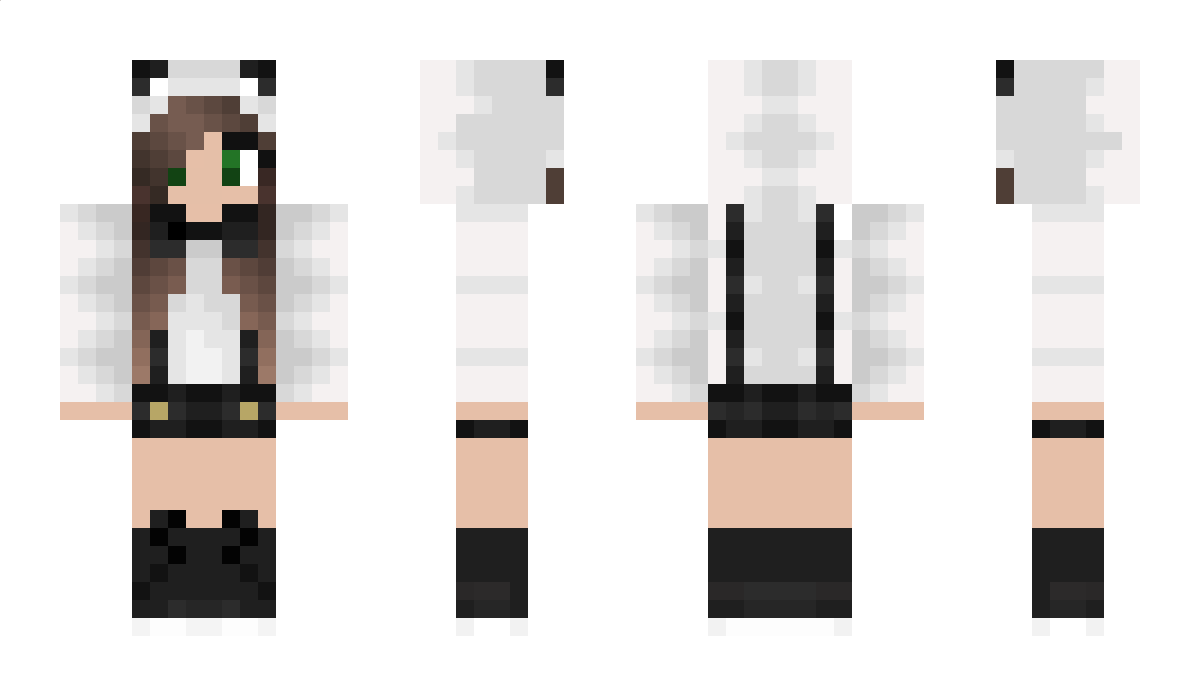 fanc Minecraft Skin