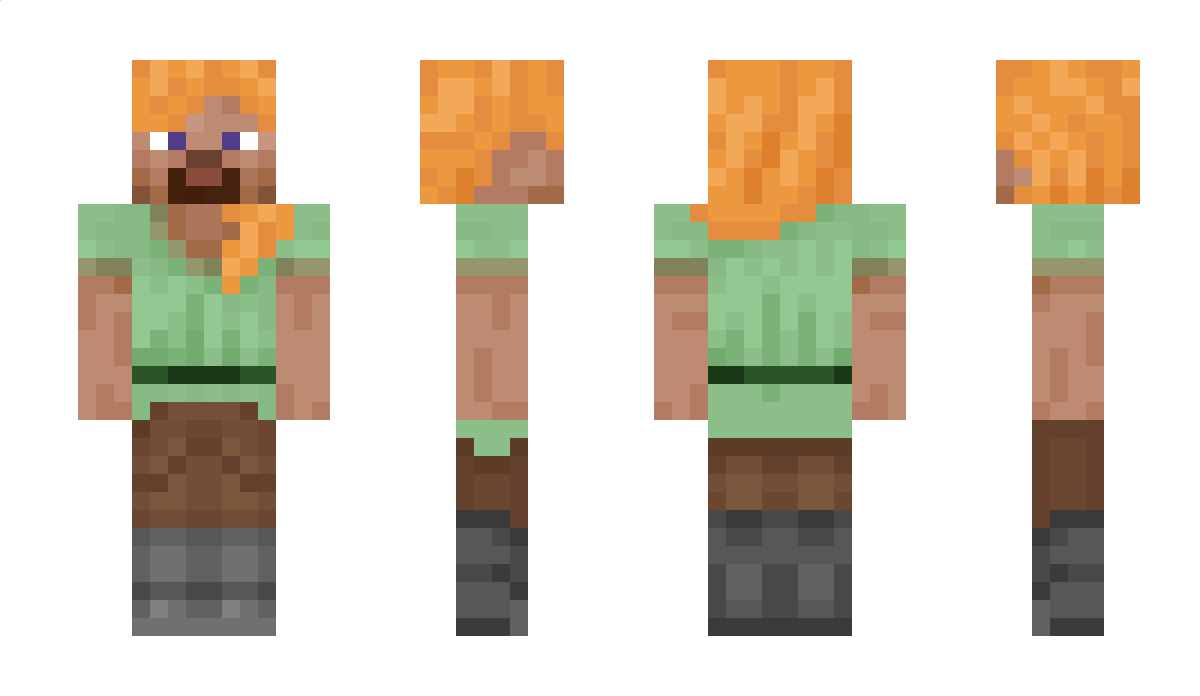 FakeLady309 Minecraft Skin