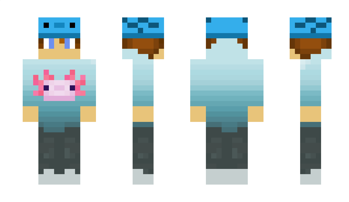 MrAxolotl__ Minecraft Skin