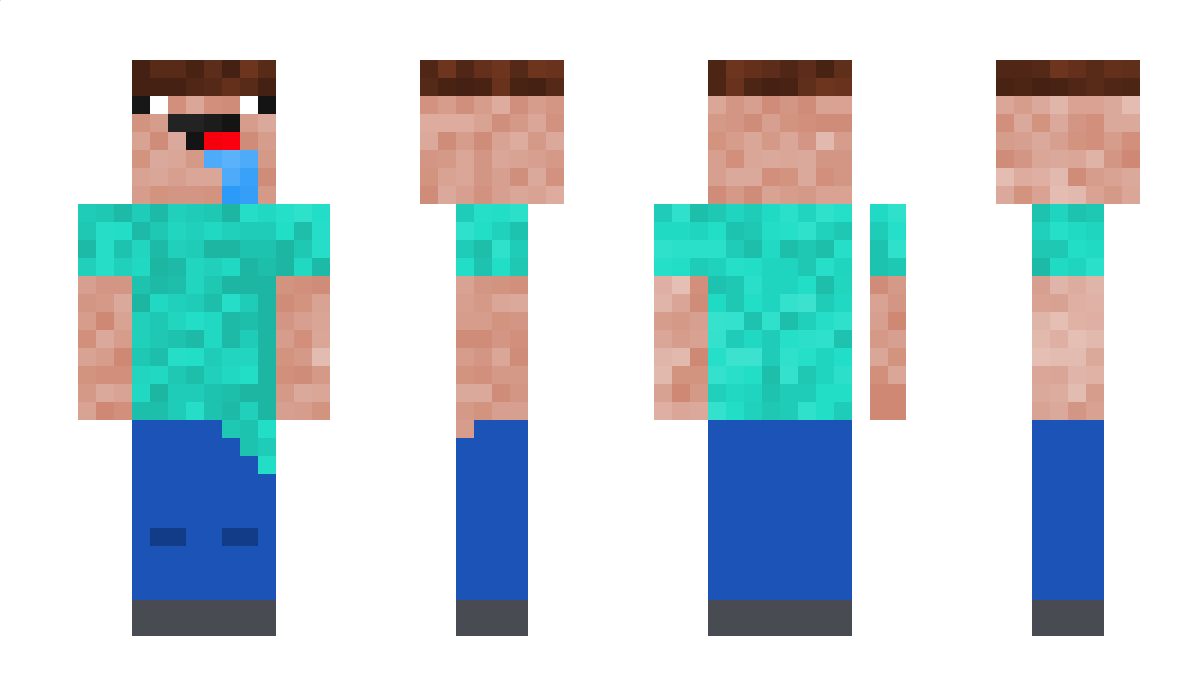 354324 Minecraft Skin