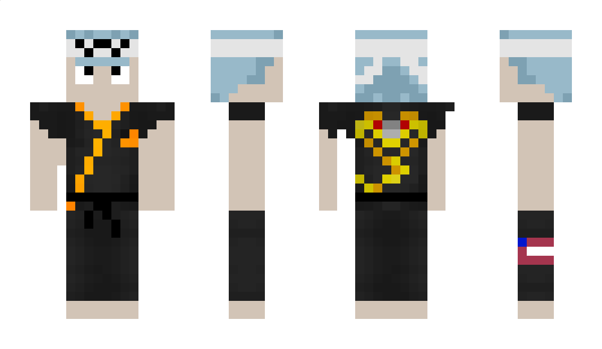 Radiusdion Minecraft Skin