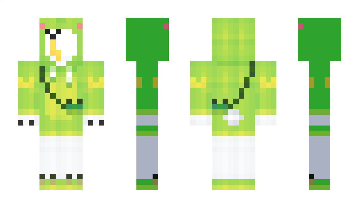 ms213 Minecraft Skin