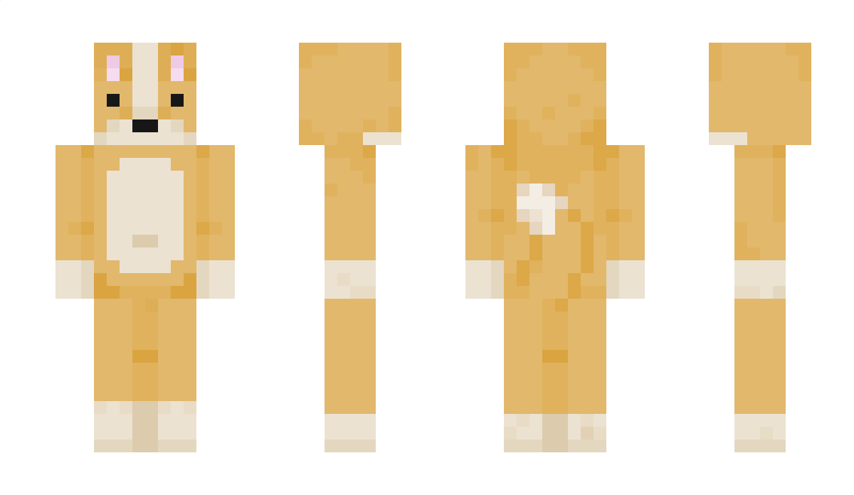 IceIceBaby16 Minecraft Skin