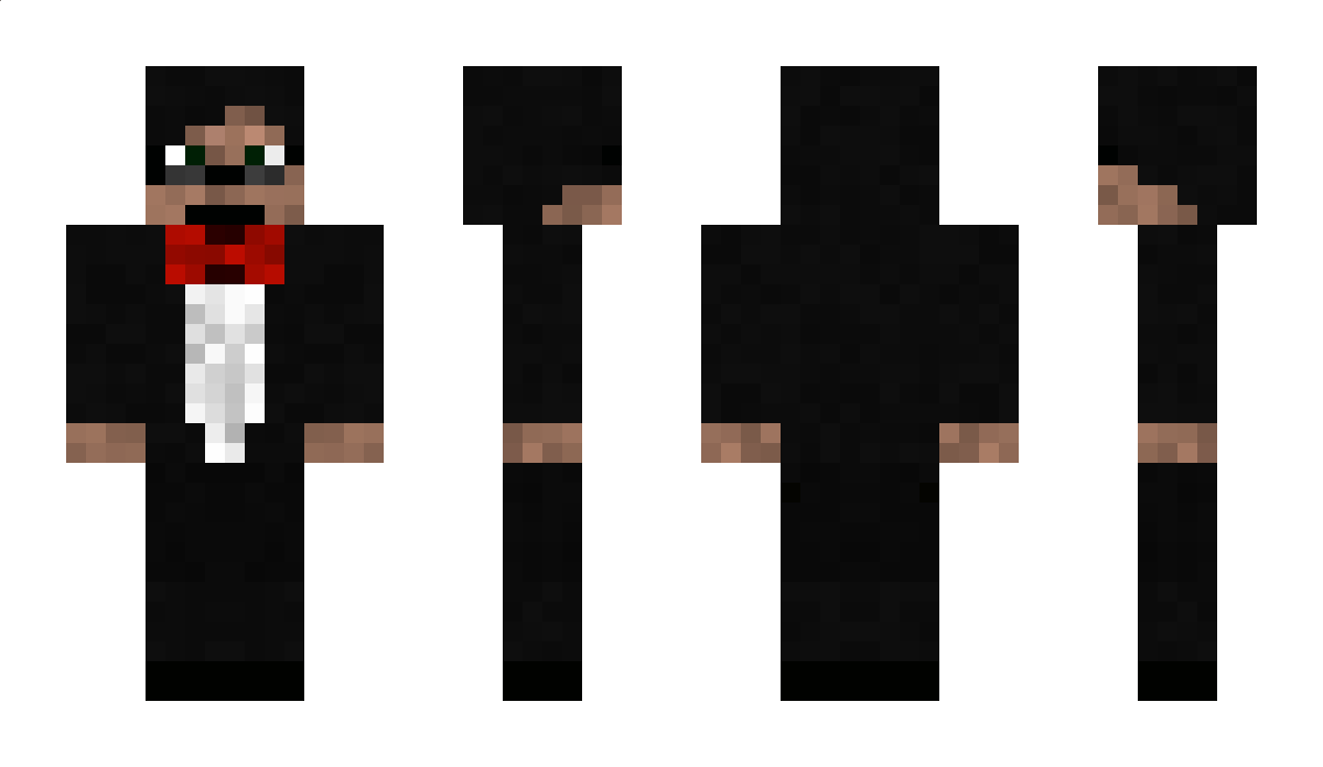 Panasonic Minecraft Skin