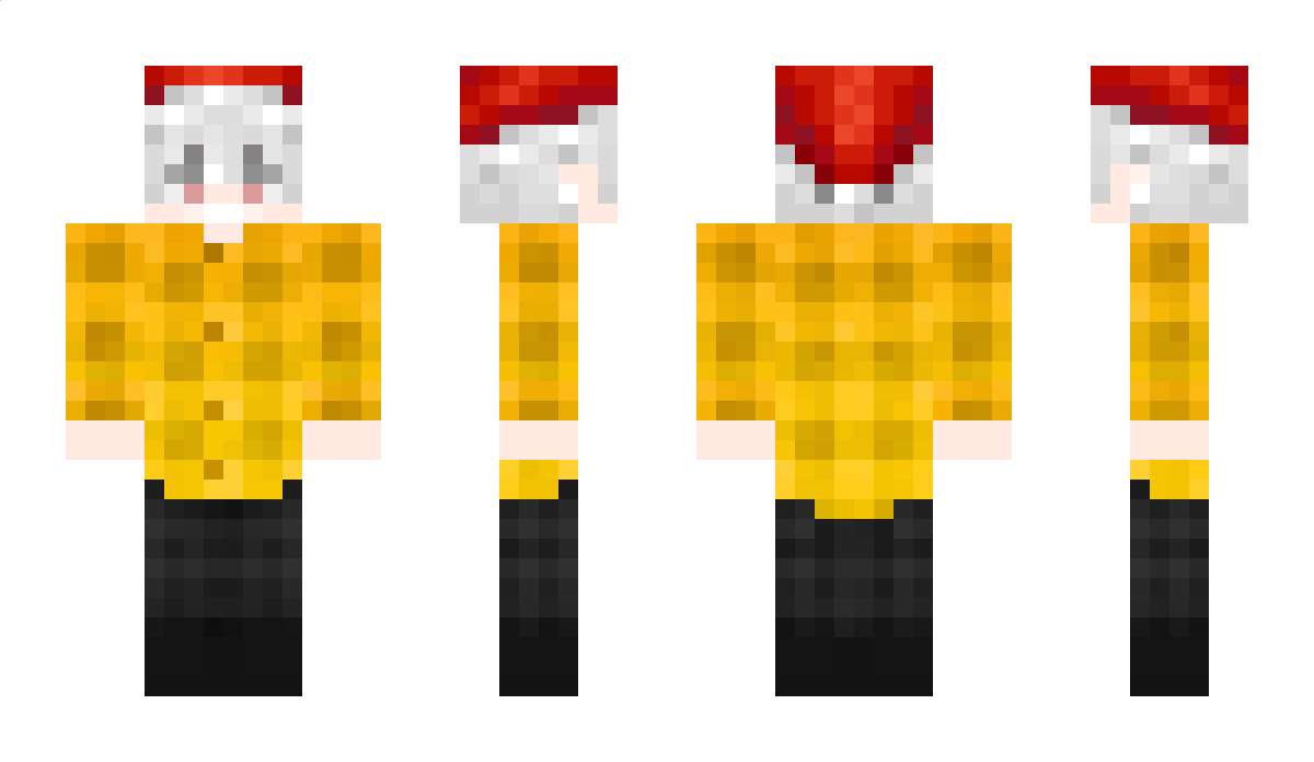 zAbgxhoben Minecraft Skin