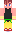 Type228 Minecraft Skin