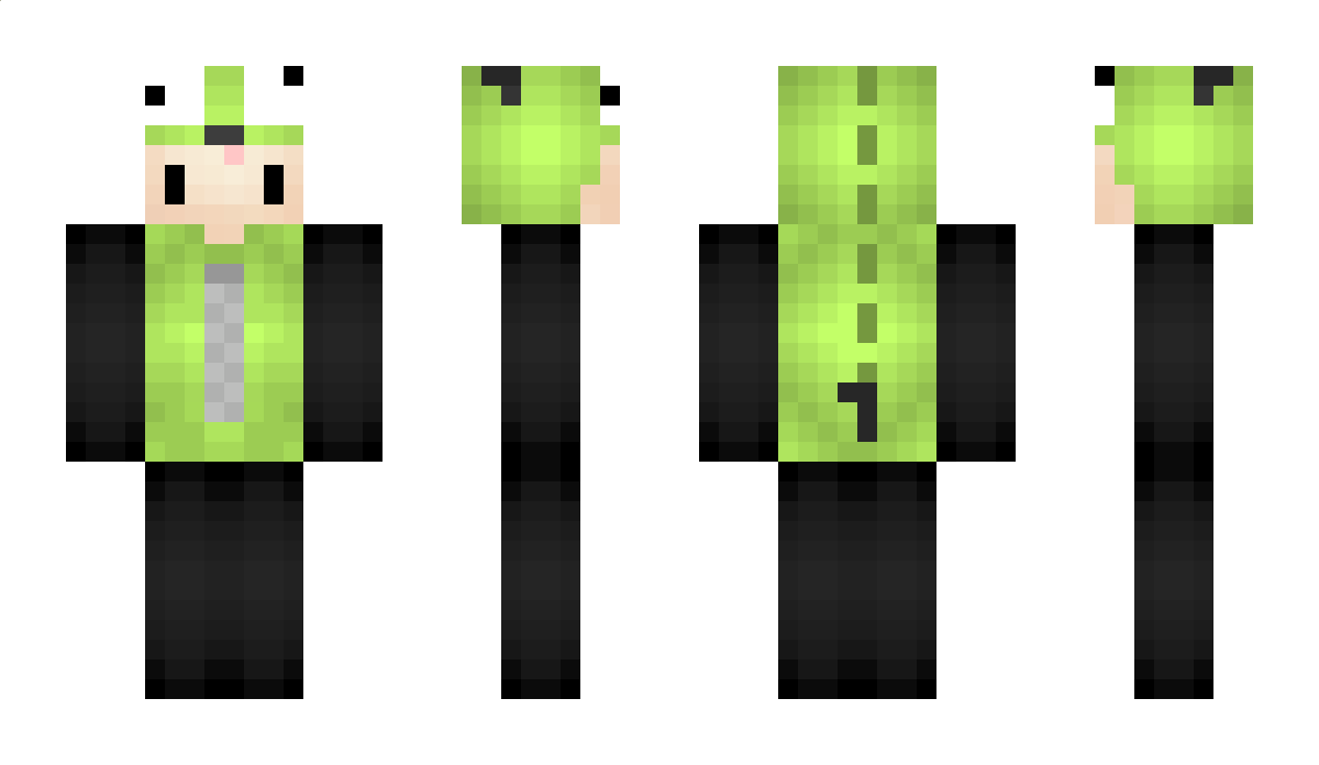 Ninlink Minecraft Skin