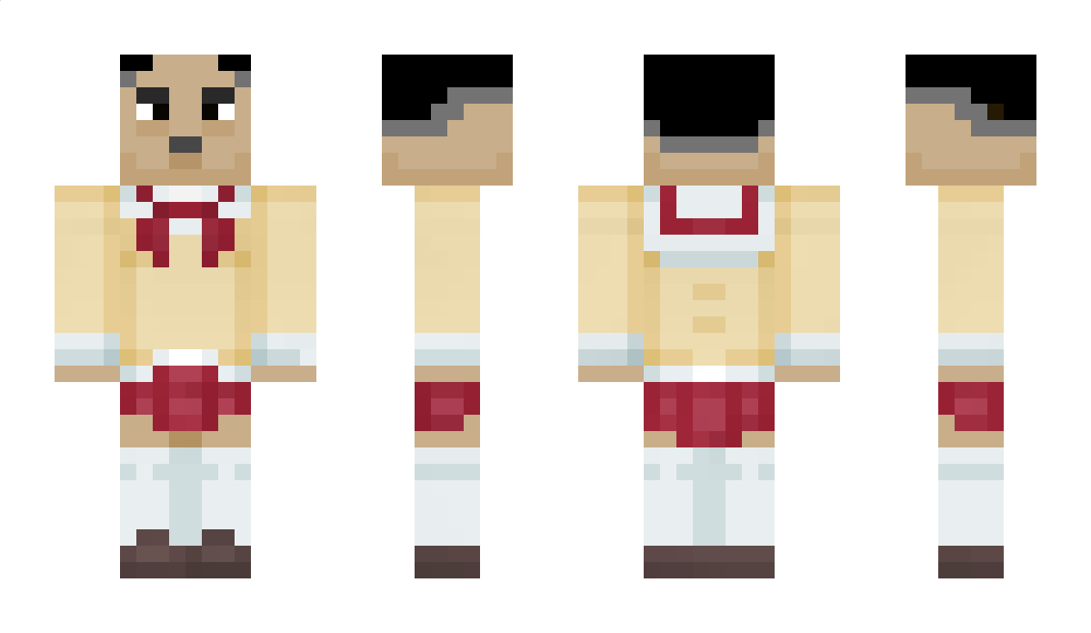 Sakatori Minecraft Skin