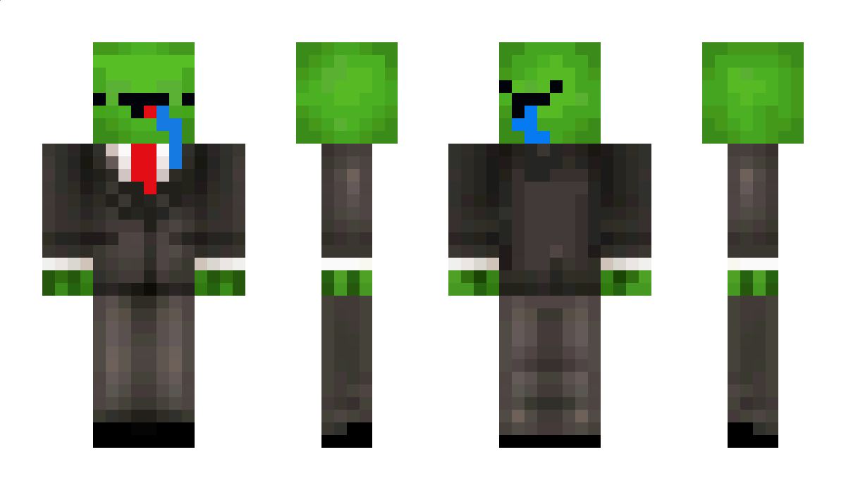 P0key Minecraft Skin
