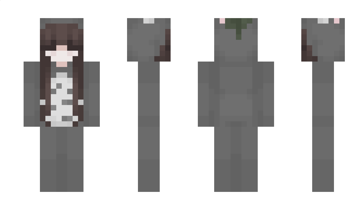 aphrotiddy Minecraft Skin