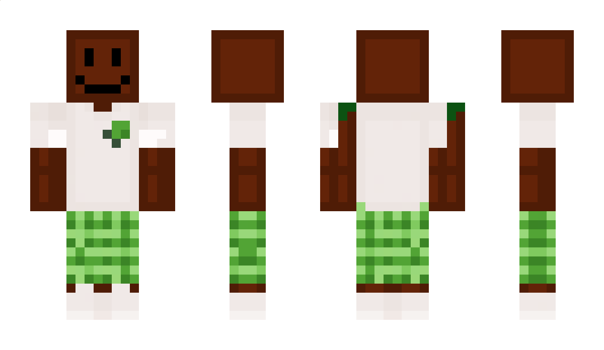 liedot14 Minecraft Skin