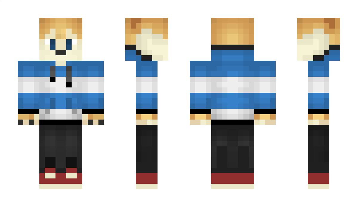 SaltTrain Minecraft Skin