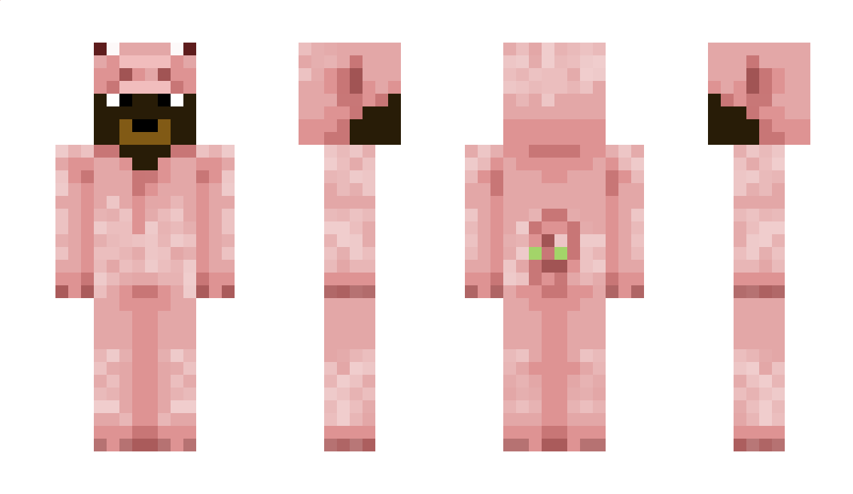 AarBear_ Minecraft Skin