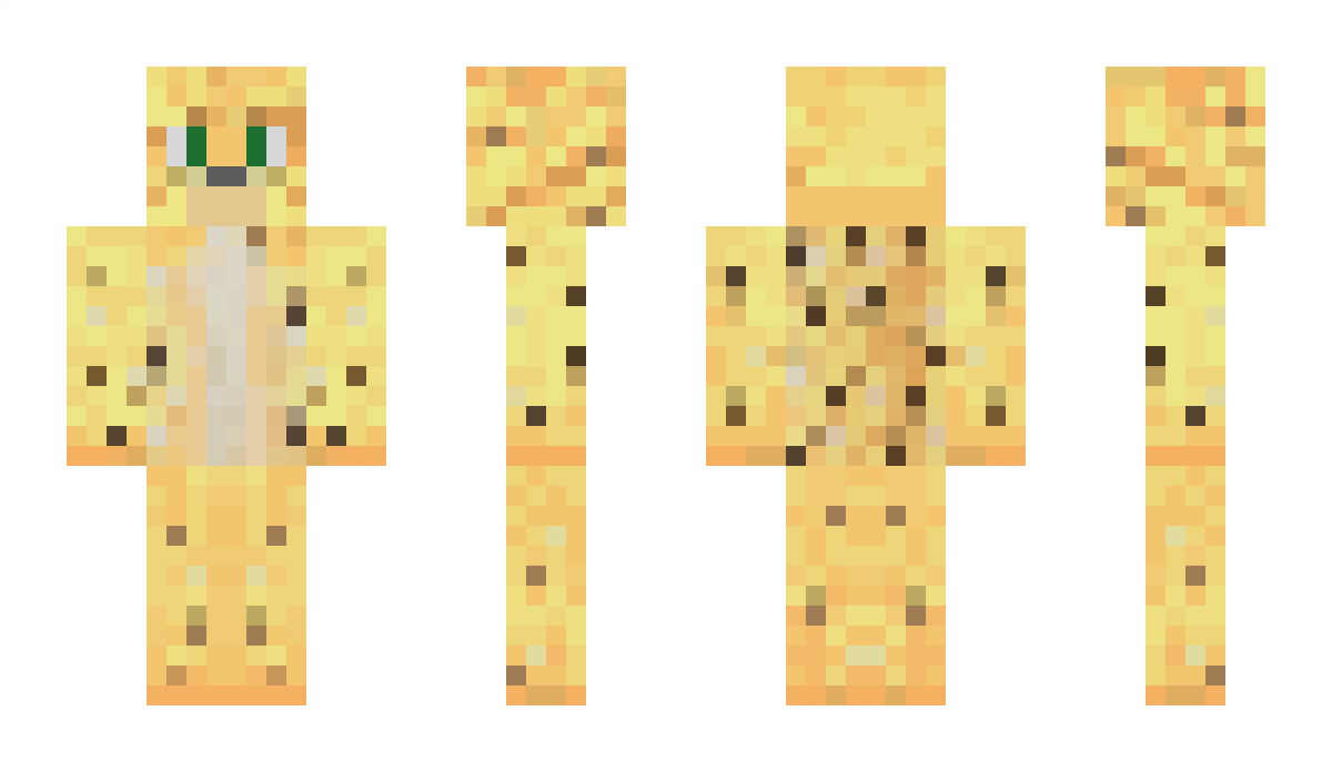 Ocelotek1234POL Minecraft Skin