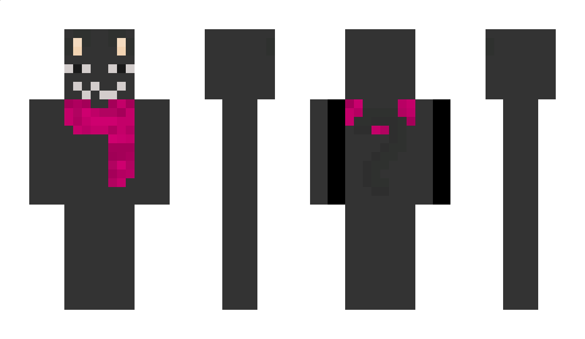 cartnitecat Minecraft Skin