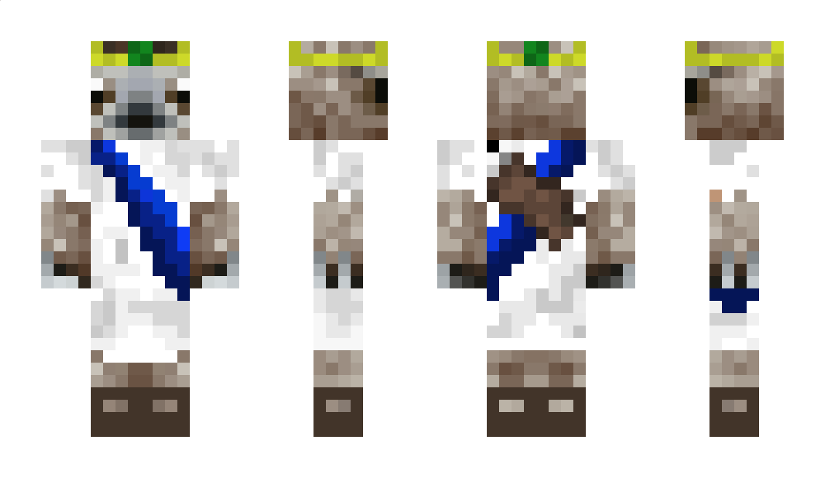 SlothKing Minecraft Skin