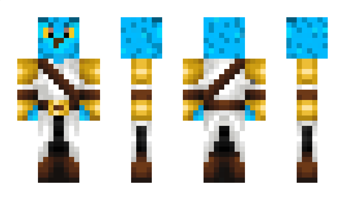 Baout Minecraft Skin