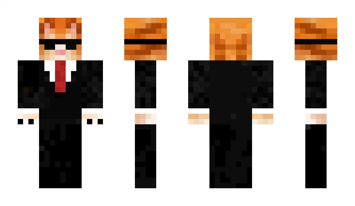 Zjarany_kot Minecraft Skin