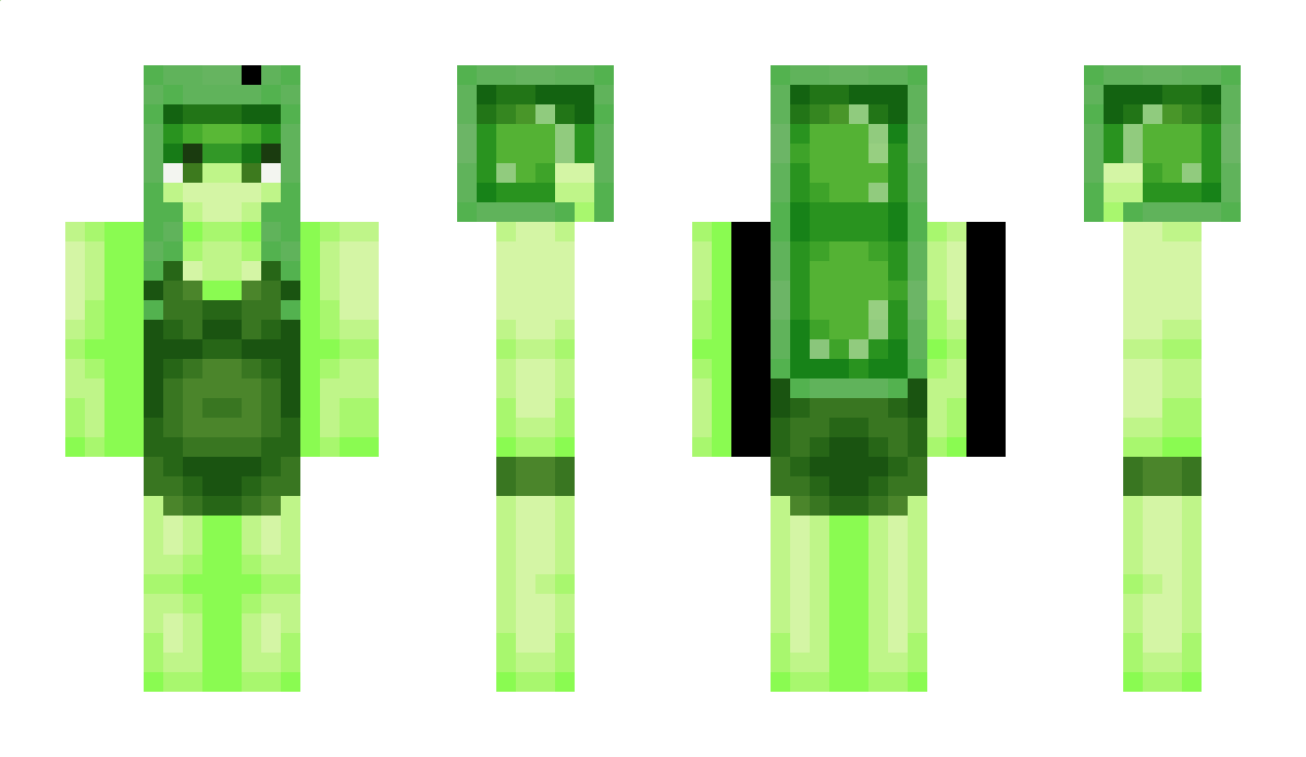 ShySlimeGirl Minecraft Skin