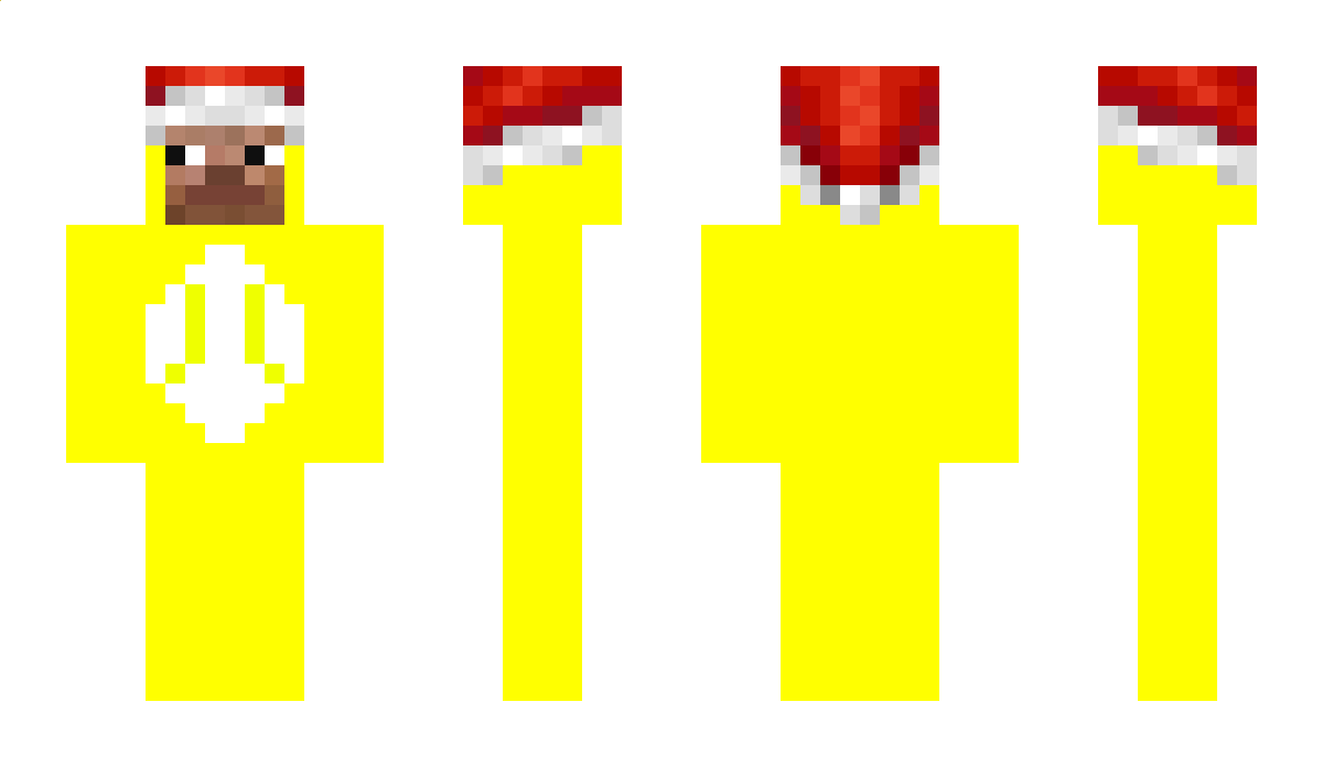 Plans Minecraft Skin