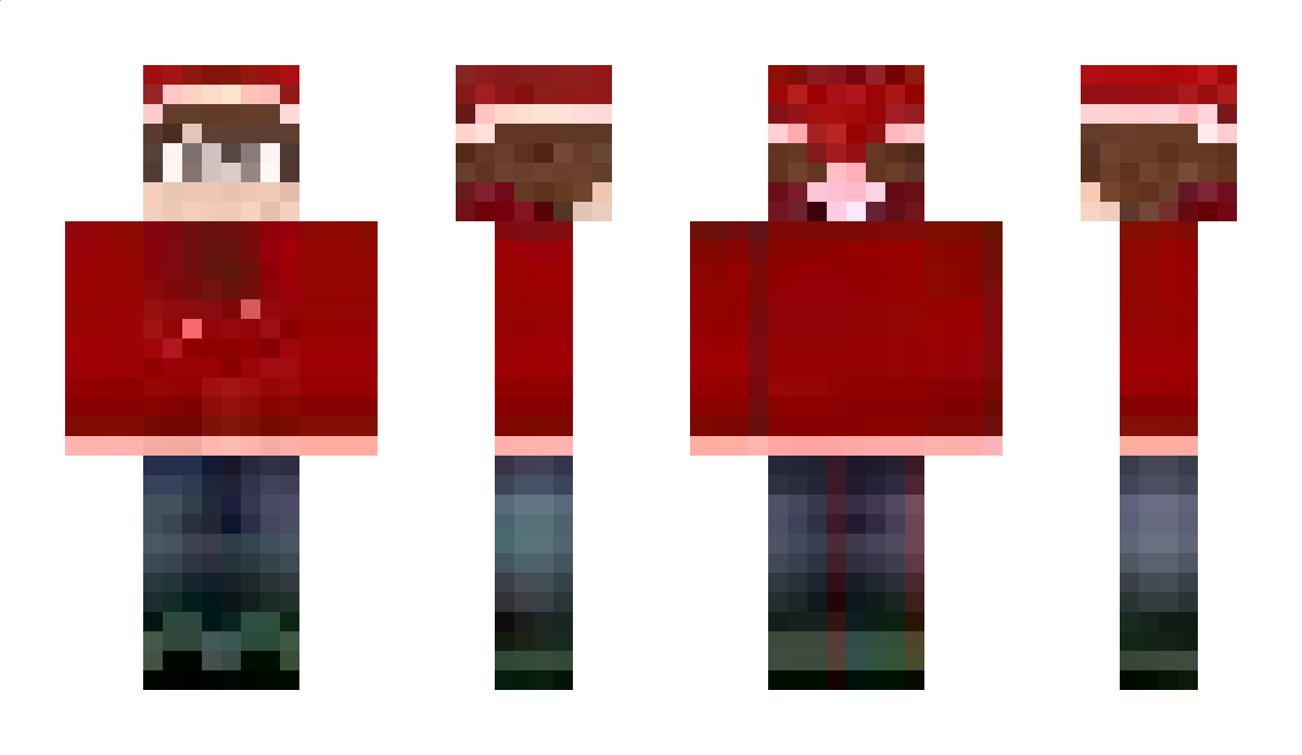 Life_Craft Minecraft Skin