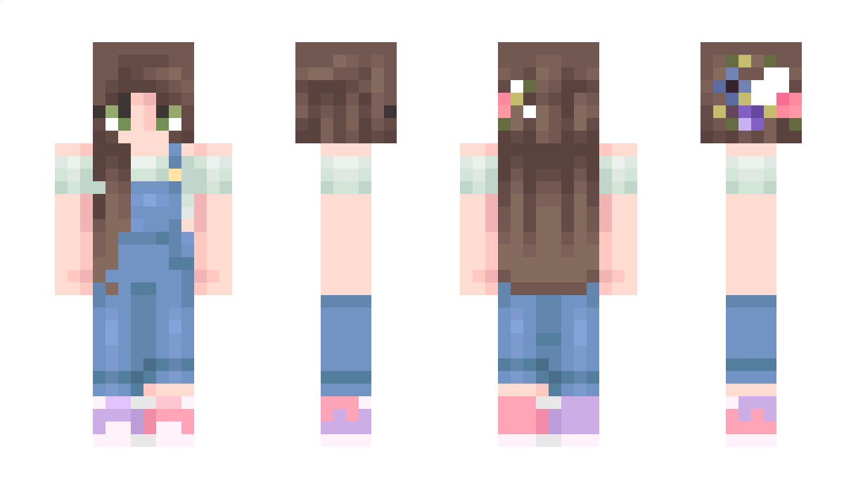 DynamicCraft Minecraft Skin