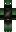 MrTurtle_19 Minecraft Skin