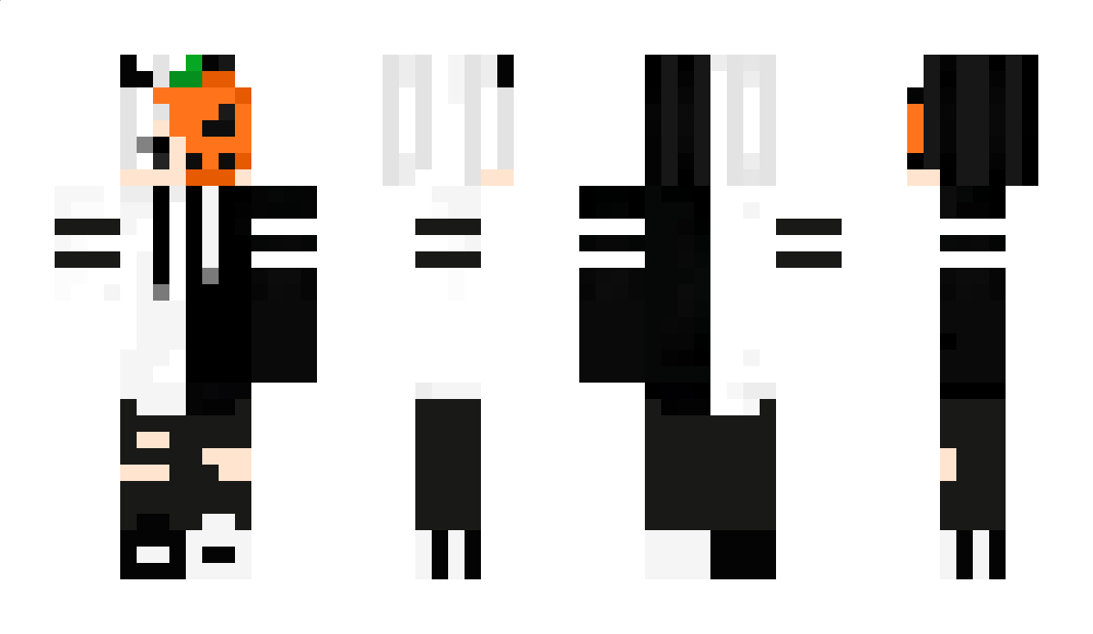 lapir Minecraft Skin