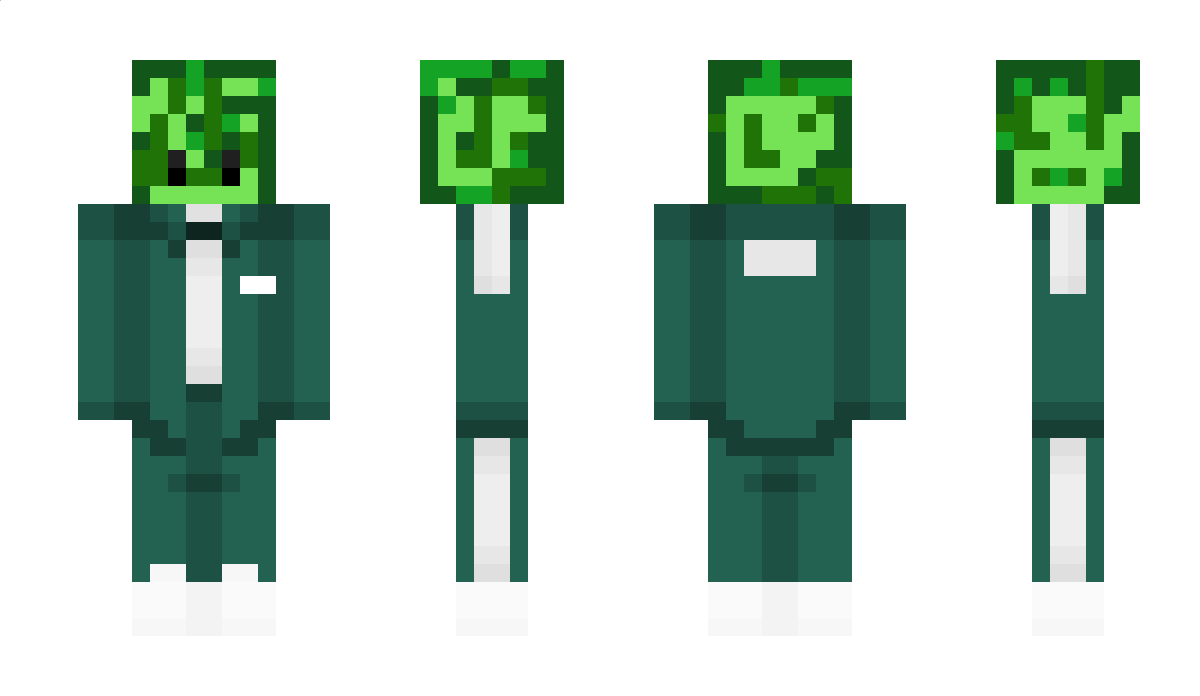 junwan456 Minecraft Skin