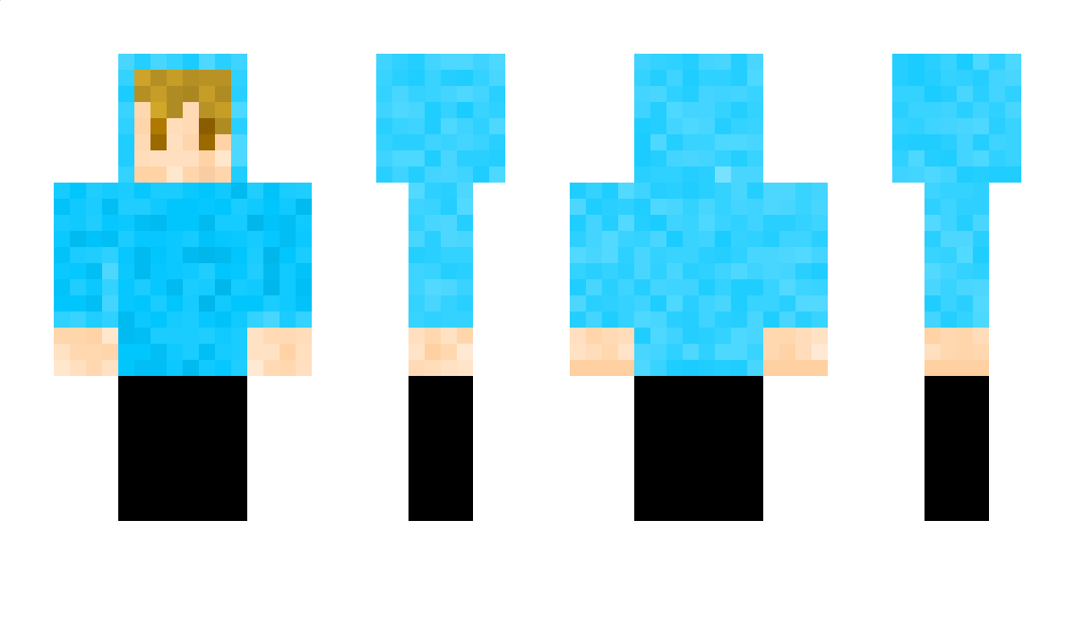 aarapol Minecraft Skin