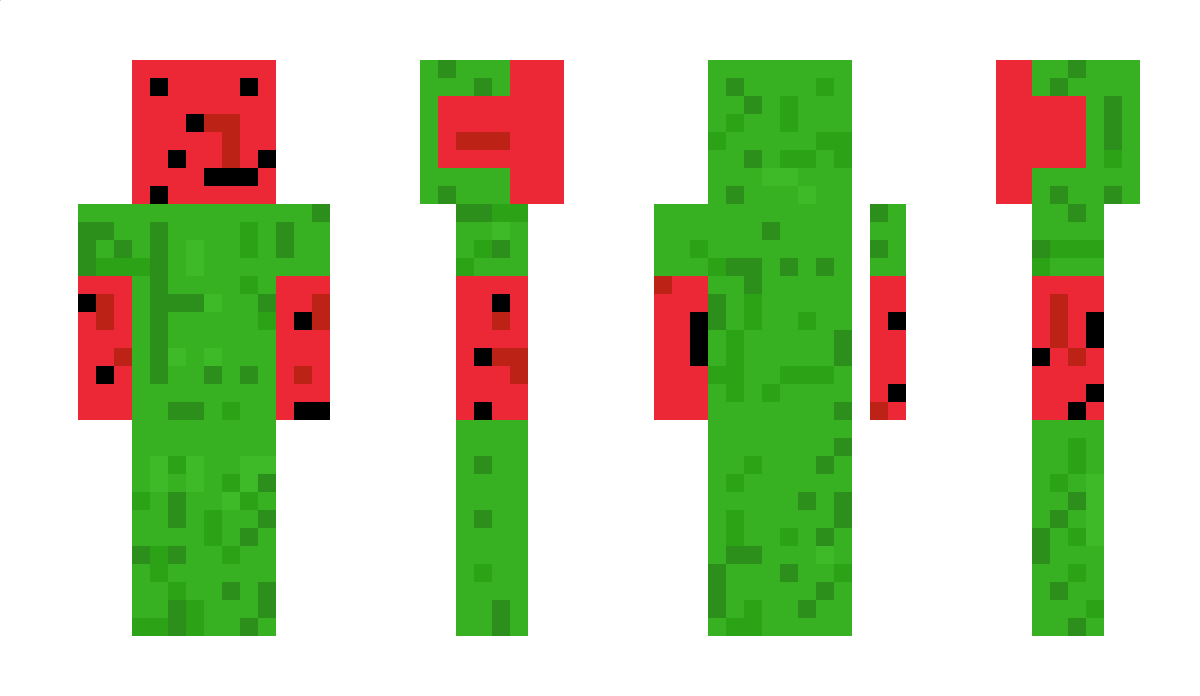 TheBiggestbirds Minecraft Skin