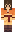 ferretonahelmet Minecraft Skin