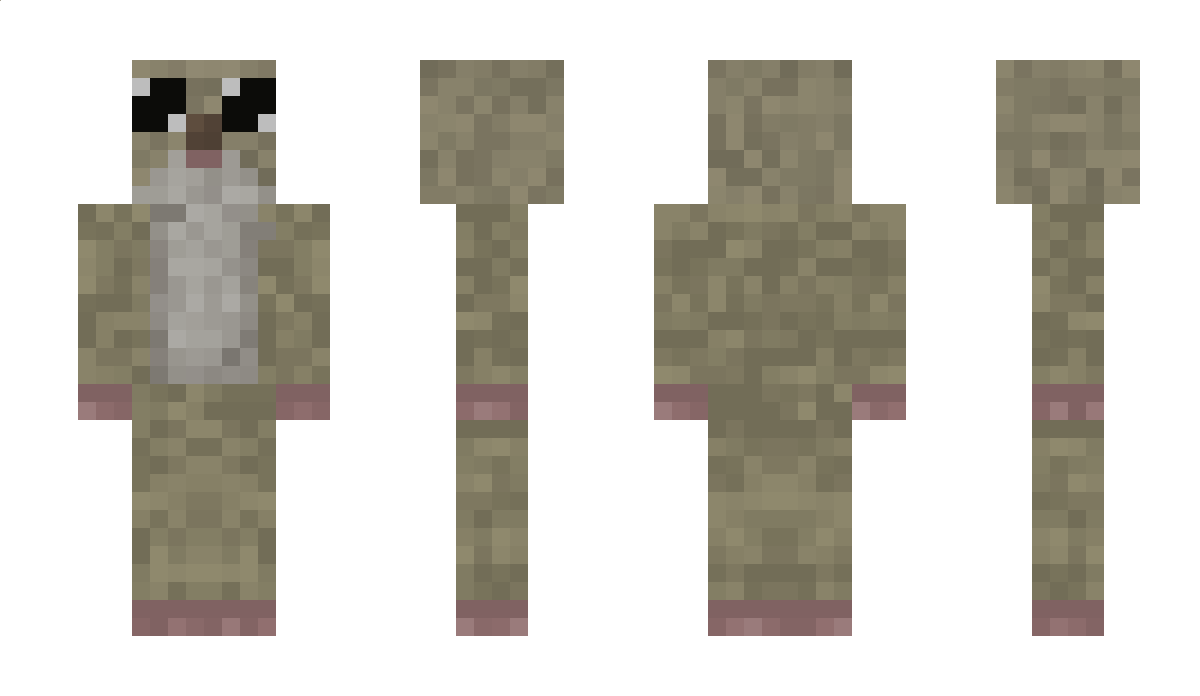 h4mp73r Minecraft Skin