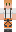 SpeedyDragon9k Minecraft Skin