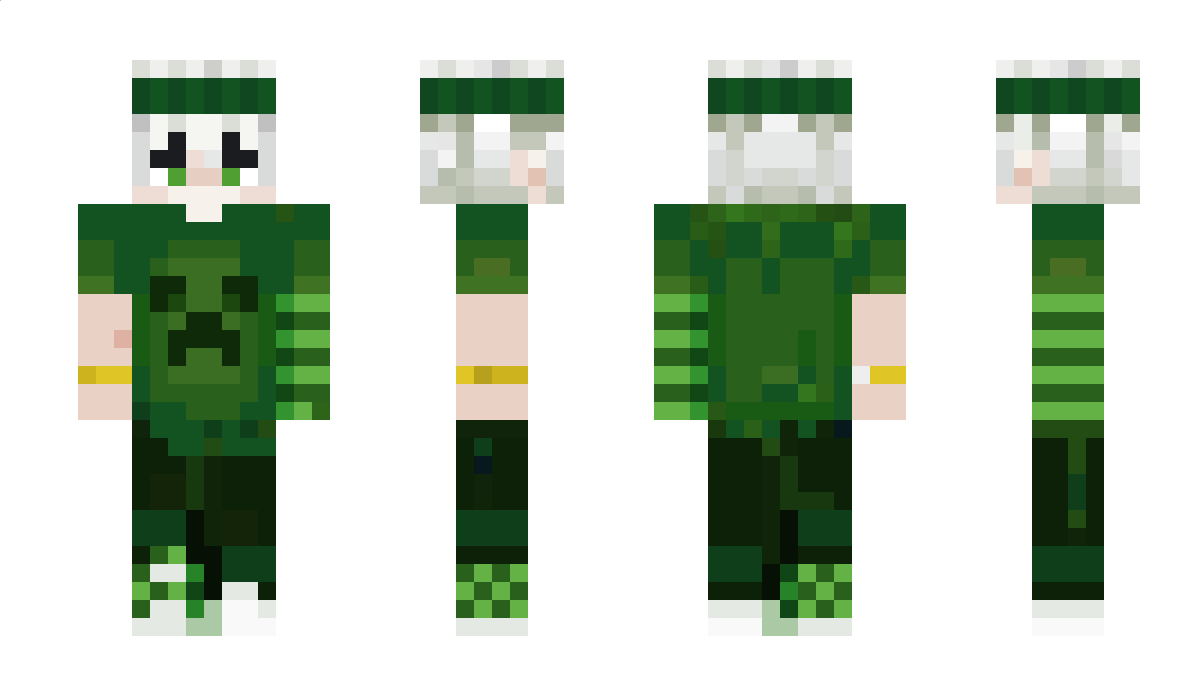 AwardedCurve814 Minecraft Skin