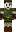 saladcat Minecraft Skin