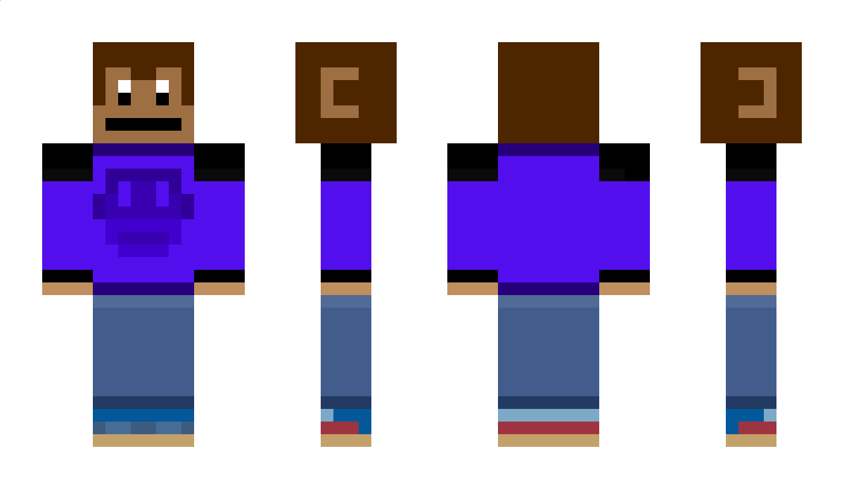 TelsaVCD1221 Minecraft Skin