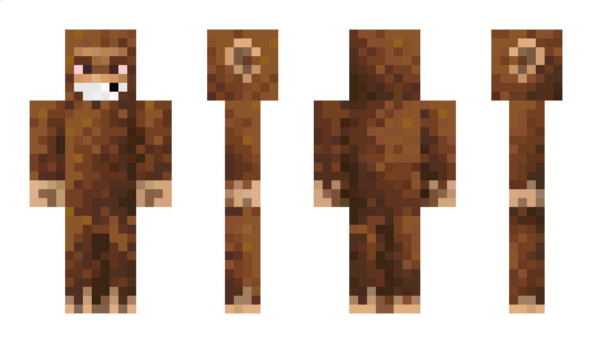 CARMIKOX Minecraft Skin