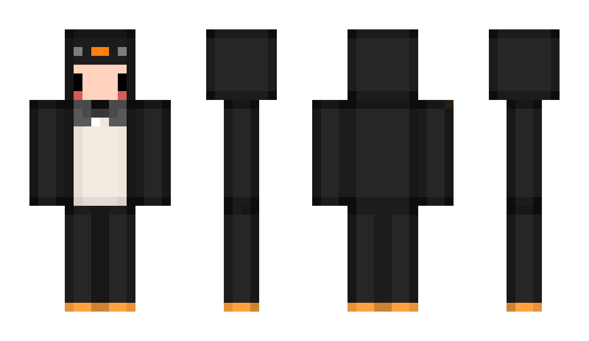 bert Minecraft Skin