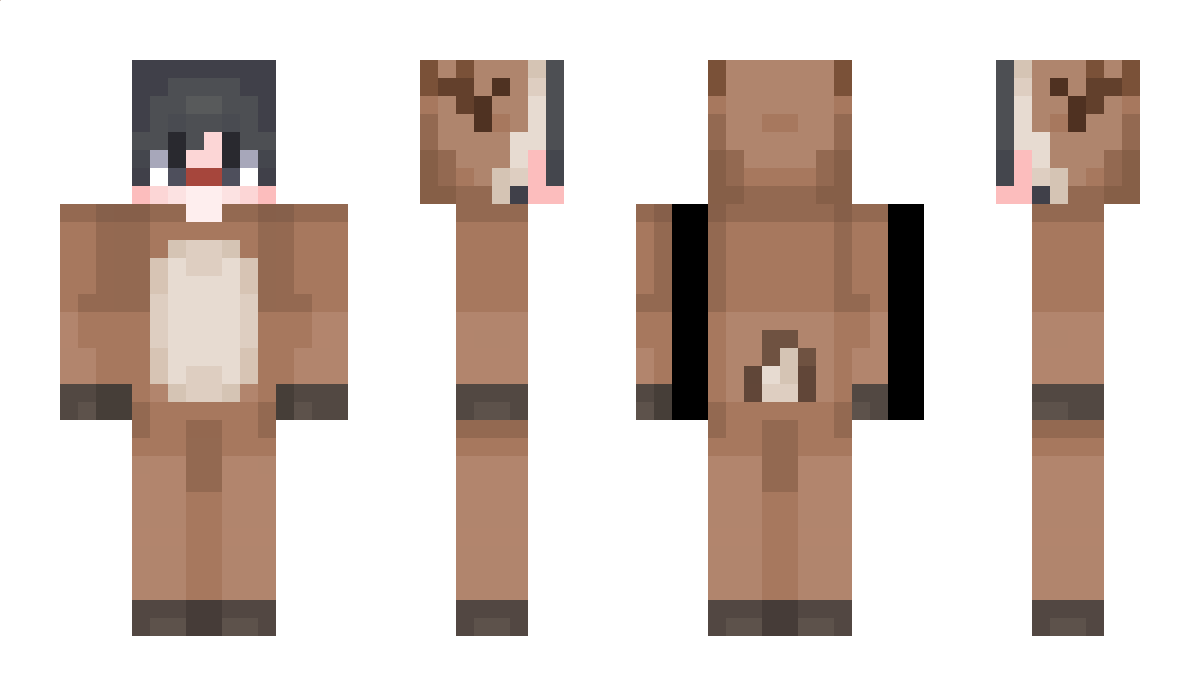 ReinisDc Minecraft Skin